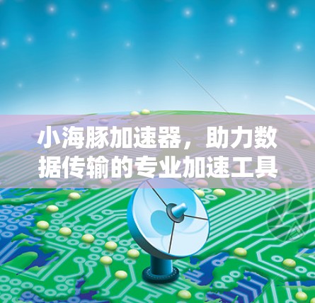 小海豚加速器，助力数据传输的专业加速工具