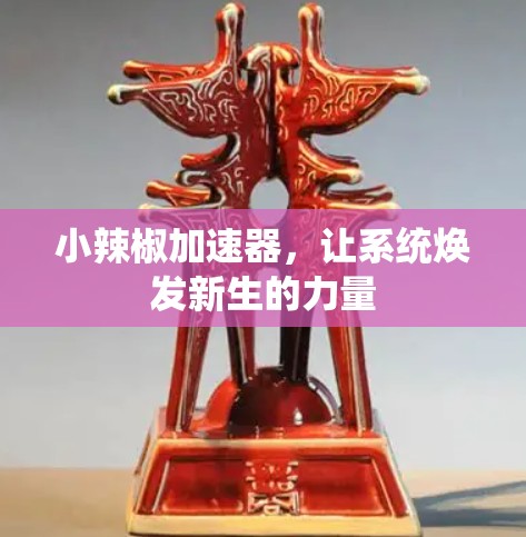 小辣椒加速器，让系统焕发新生的力量