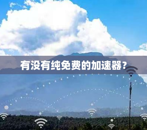 有没有纯免费的<strong>加速器</strong>？