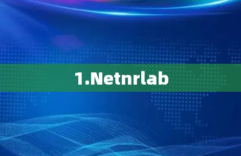 1.Netnrlab 1.Netnrlab
