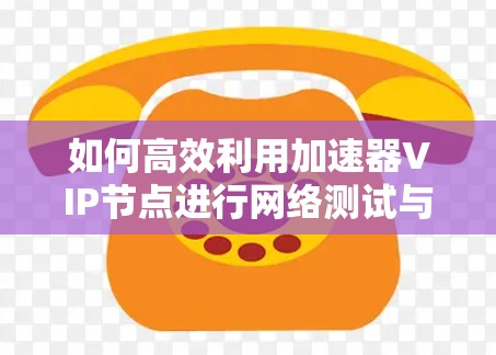 如何高效利用加速器VIP节点进行网络测试与数据传输