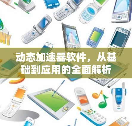 动态加速器软件，从基础到应用的全面解析