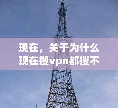 现在，关于为什么现在搜vpn都搜不到了的问题，可以分为以下几个方面来解释