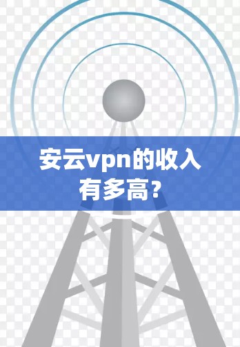 安云vpn的收入有多高？