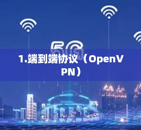 1.端到端协议(OpenVPN) 1.端到端协议(OpenVPN)