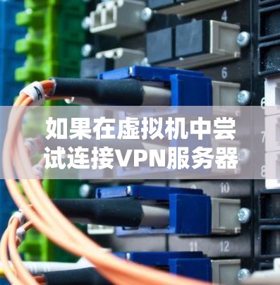 如果在虚拟机中尝试连接VPN服务器失败，可以尝试以下步骤来解决问题
