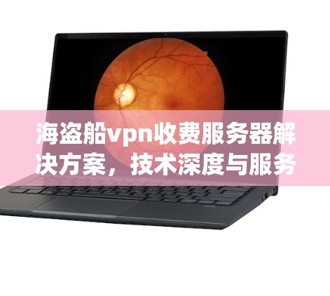 海盗船vpn收费服务器解决方案，技术深度与服务保障的结合