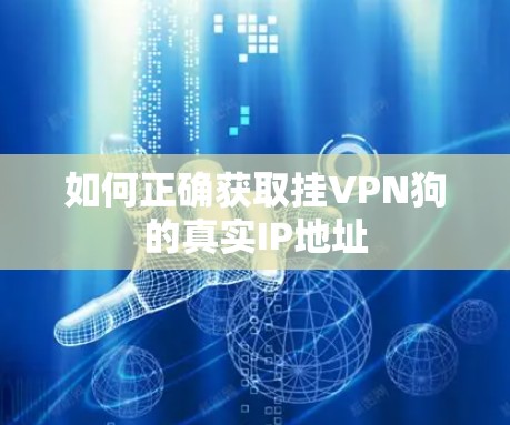 如何正确获取挂VPN狗的真实IP地址