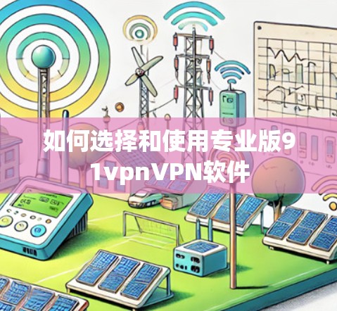 如何选择和使用专业版91vpnVPN软件