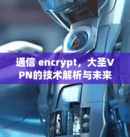 通信 encrypt，大圣VPN的技术解析与未来展望