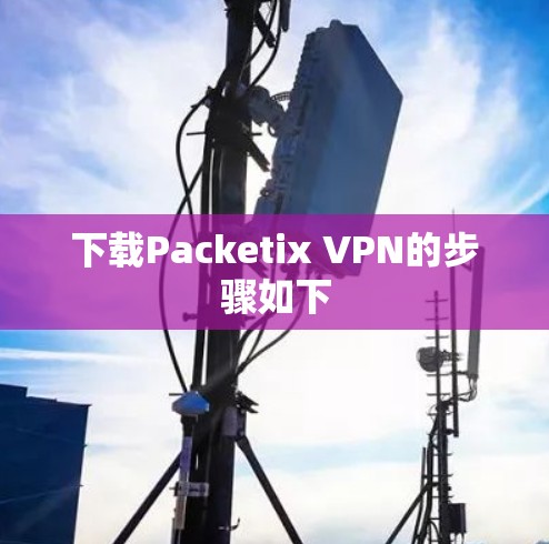 下载Packetix VPN的步骤如下