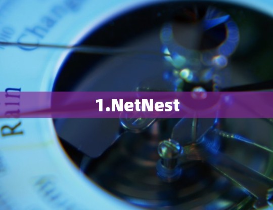 1.NetNest
