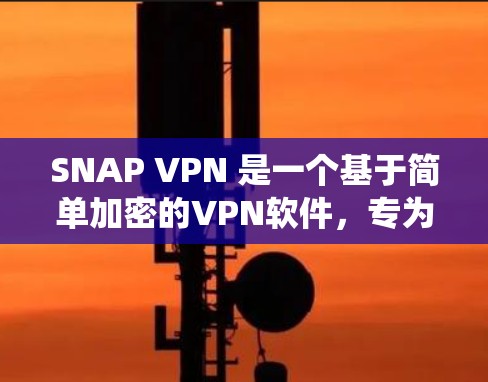 SNAP VPN 是一个基于简单加密的VPN软件，专为Windows系统设计。它使用SNAP协议进行加密通信，简单易用，适合个人或小企业用户