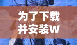 为了下载并安装Windows 23（即Windows XP）下的VPN软件，您可以按照以下步骤进行操作